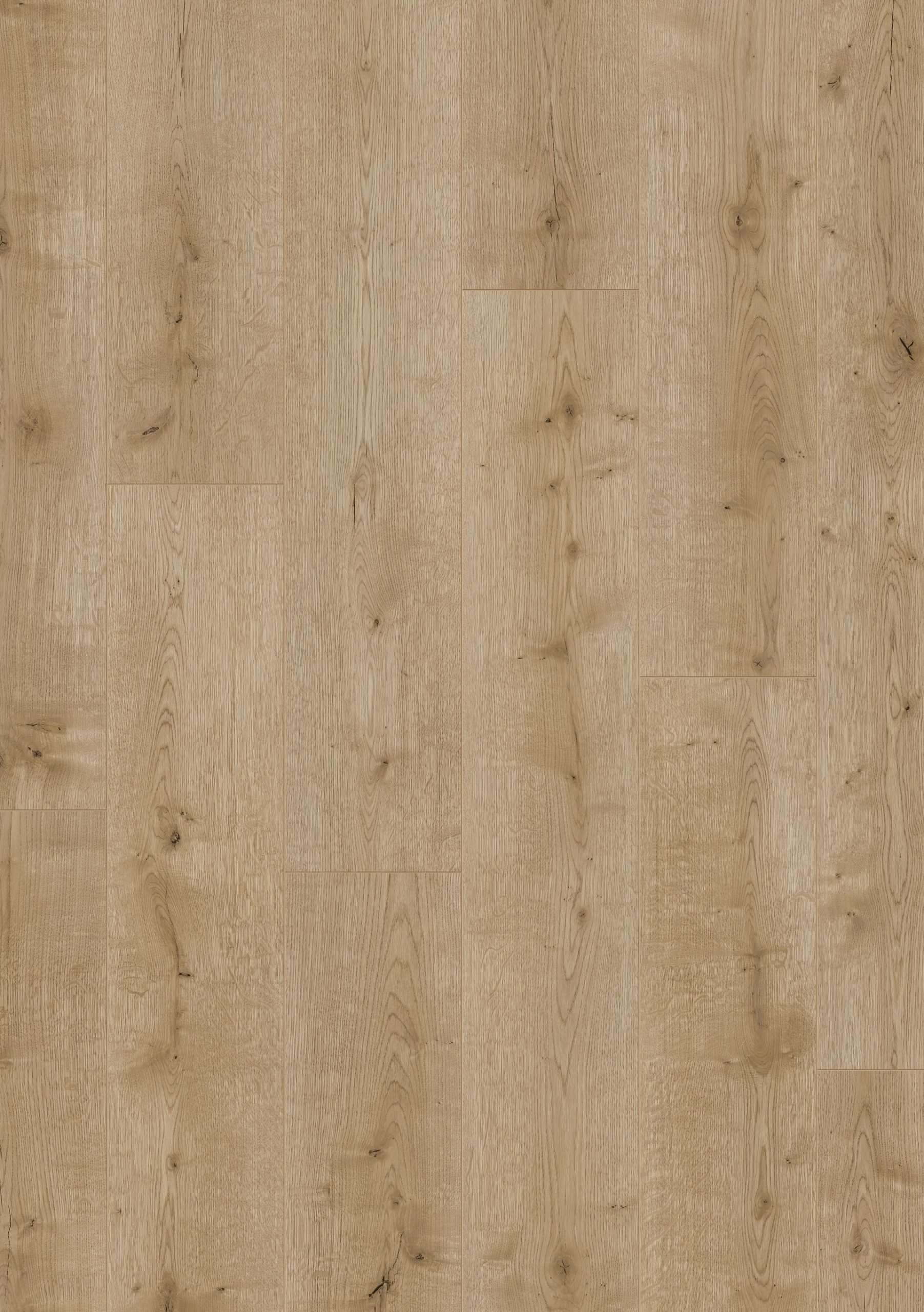 Hoomline Optima V4 HOBART 837