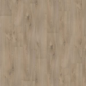 Hoomline Royal V2 Campania 106