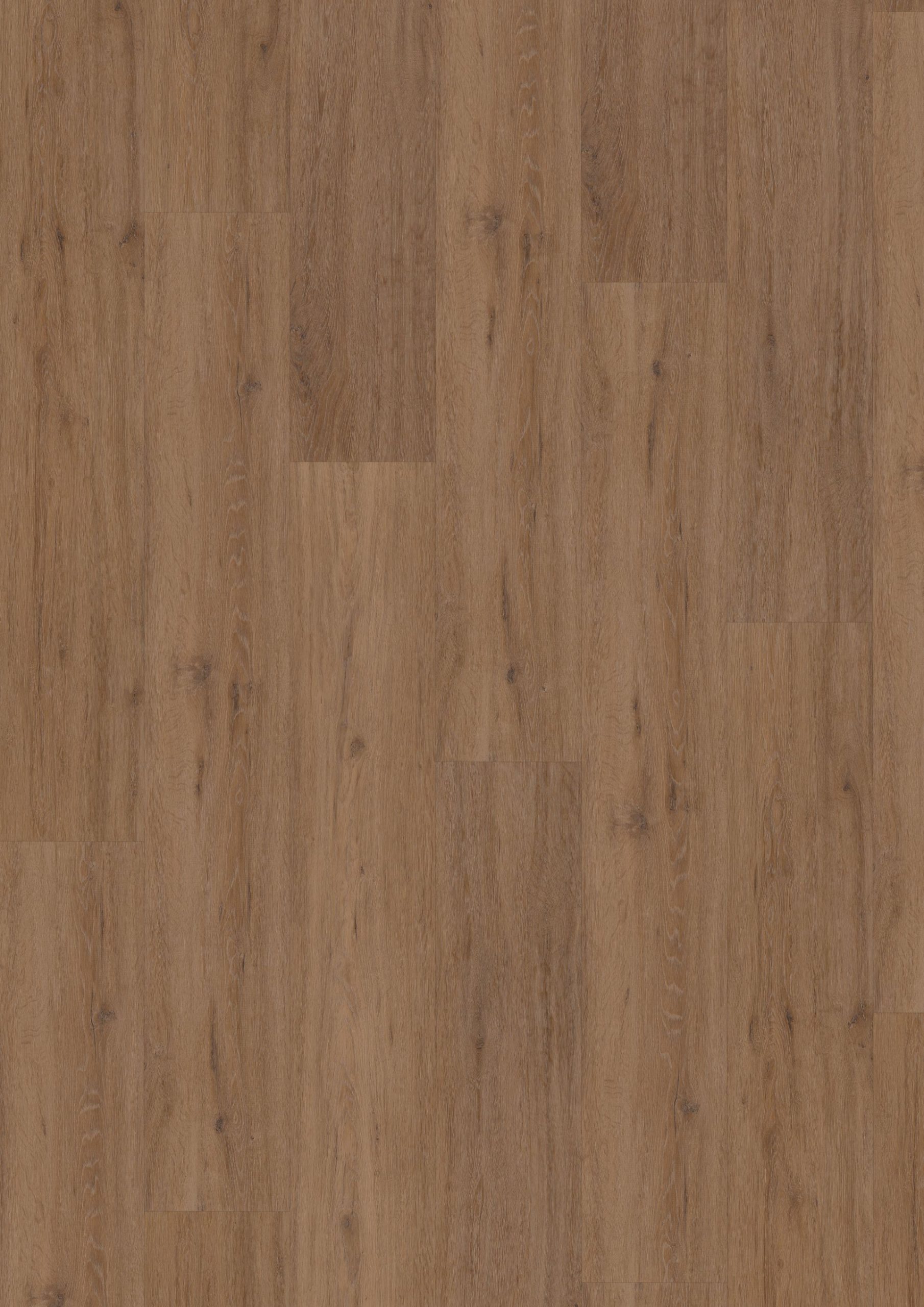 Hoomline Fusion Superior V4 Gotham Oak Honey 1075131 Visgraat (Click) - Afbeelding 4