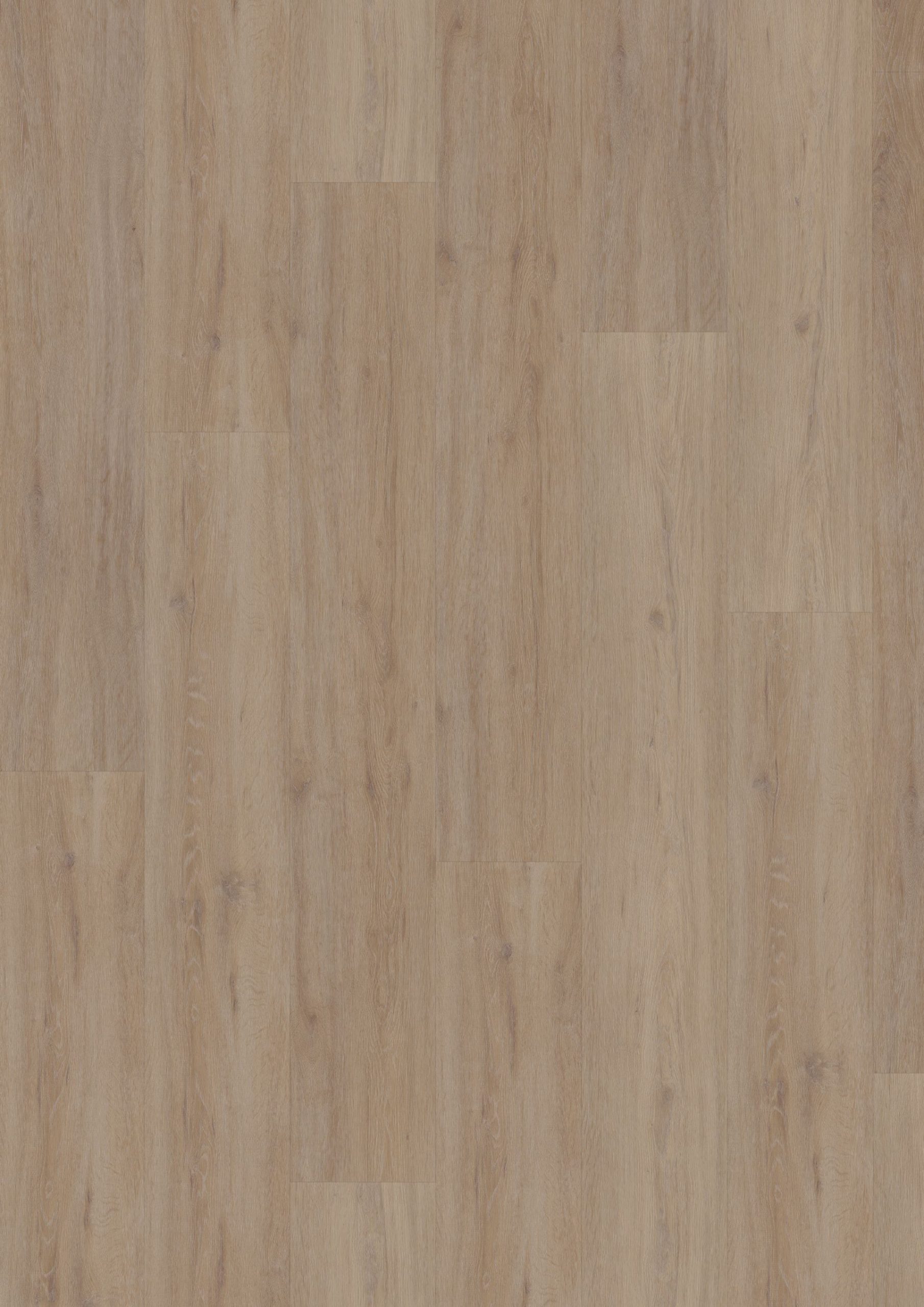 Hoomline Fusion Superior XL Gotham Oak Oiled 1075137 (Click)