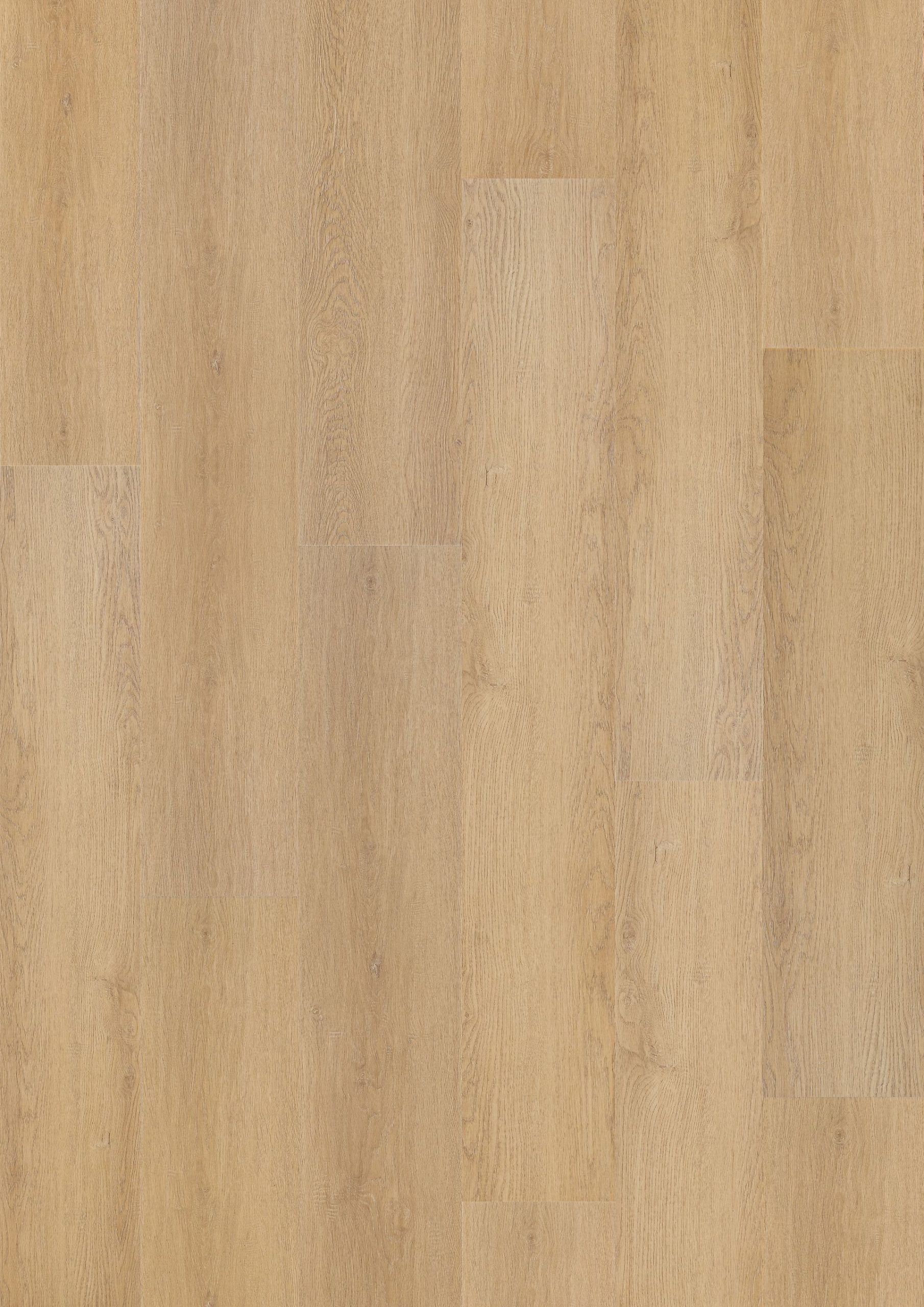 Hoomline Prestige Dryback plank Saint Tropez 5067