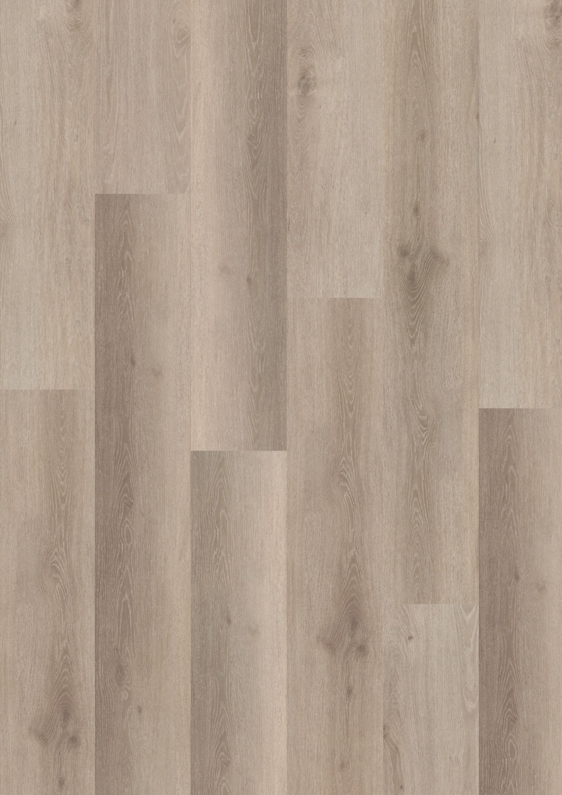 Rustico 40