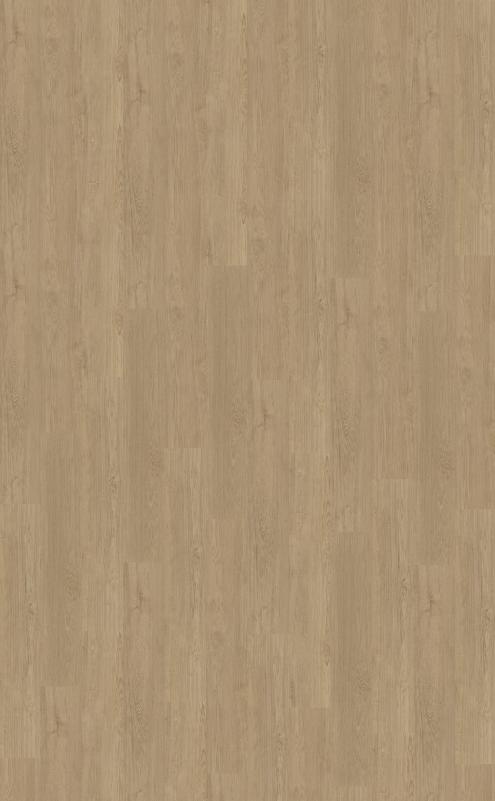 Portico 540 | Rigid Click