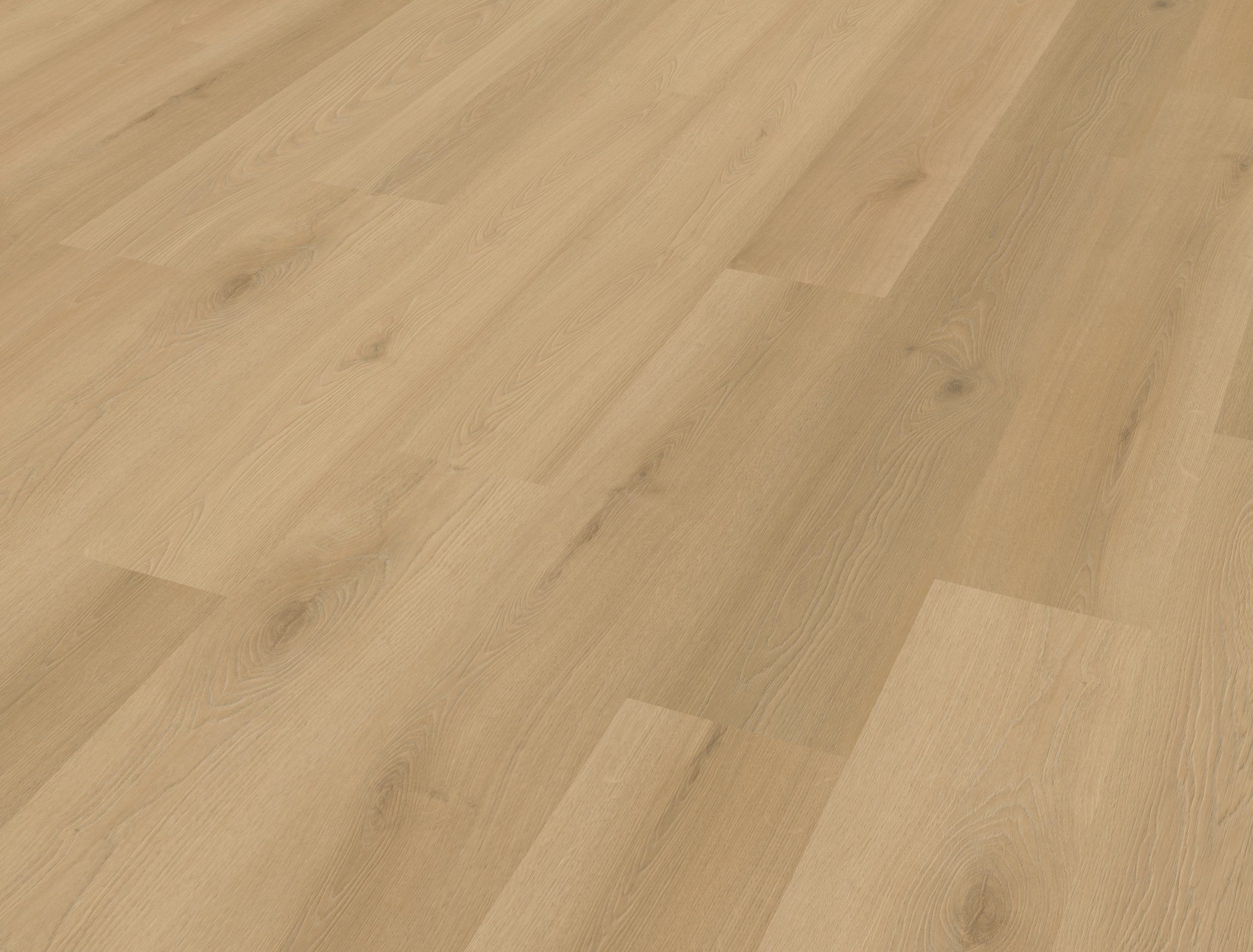 Borgo 300 | Rigid Click - Afbeelding 2