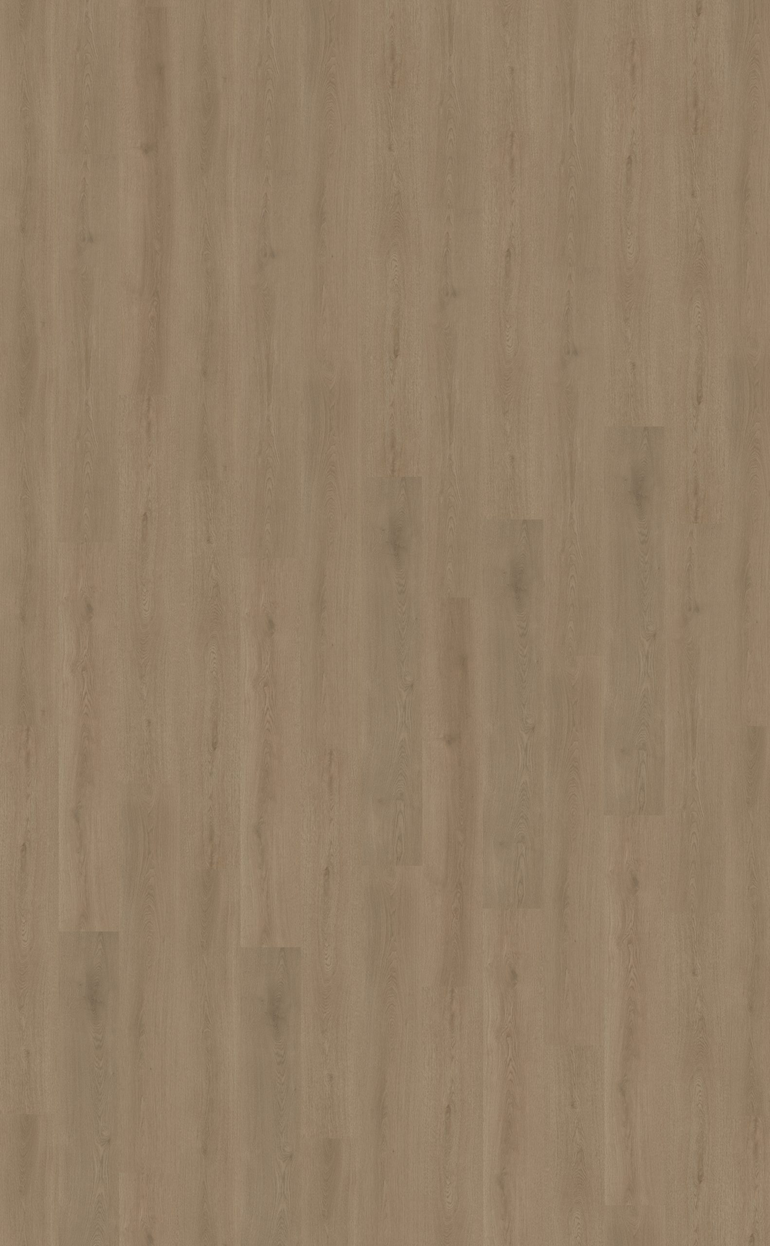 Puro 430