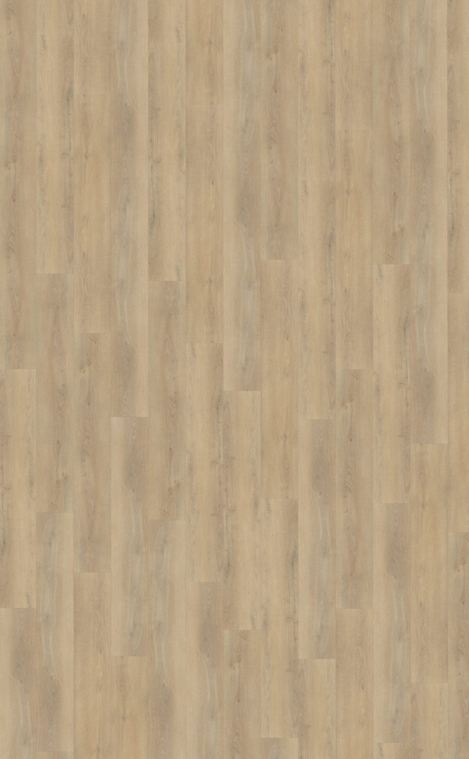 Palazzo 720 | Rigid Click