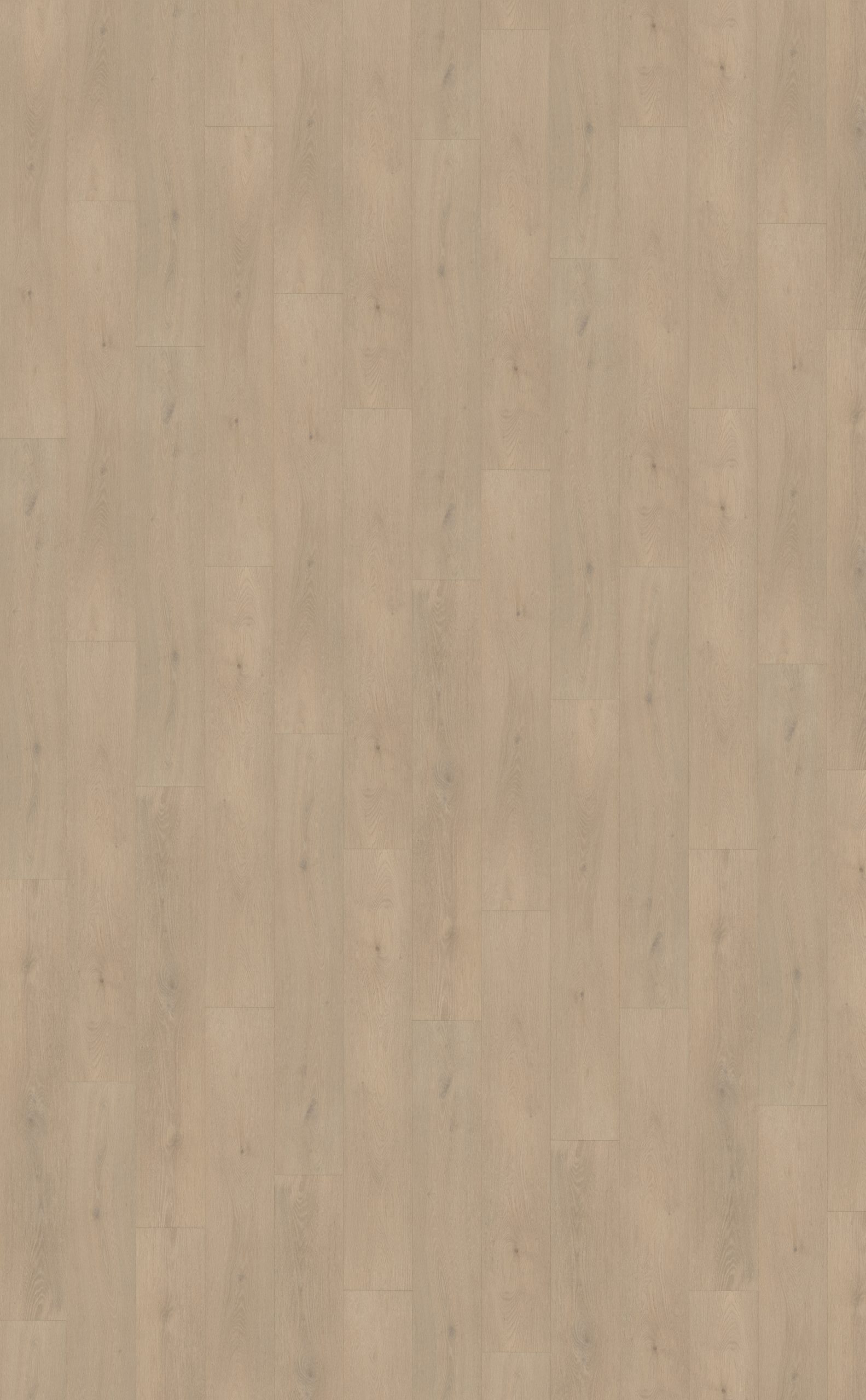 Palazzo 740 | Rigid Click