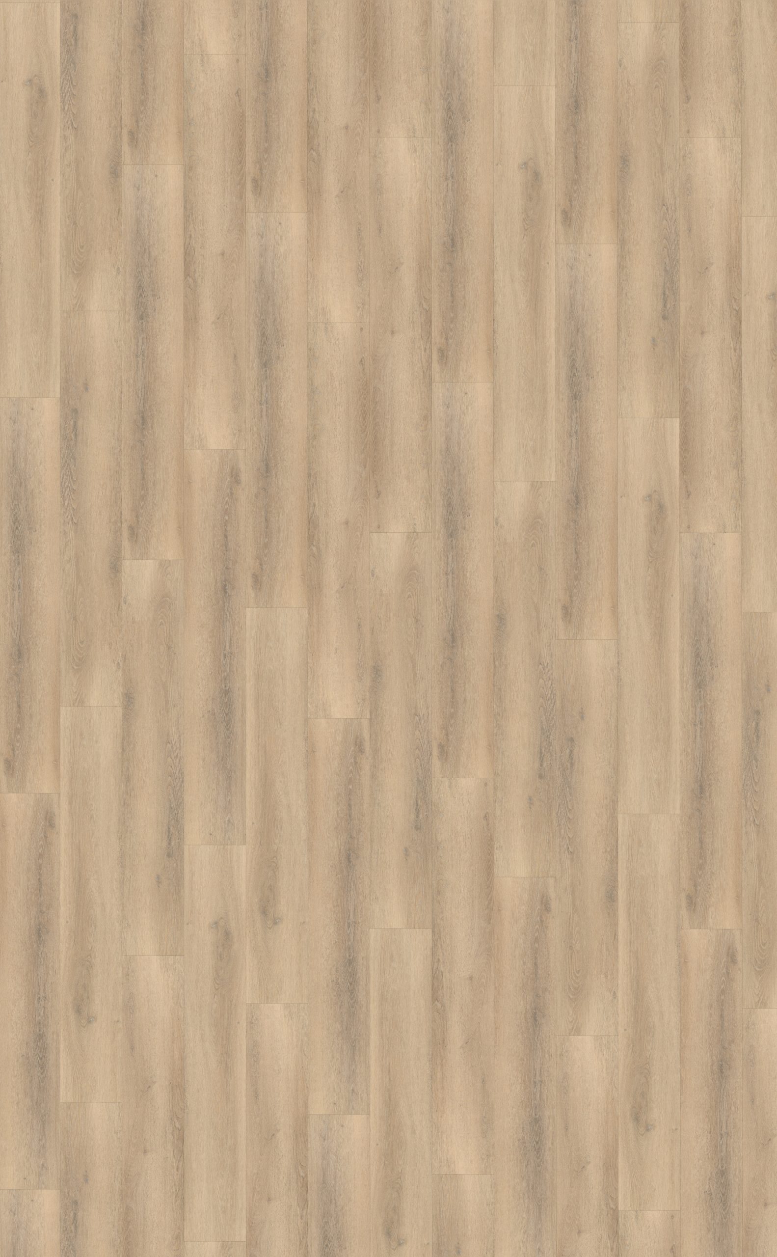 Palazzo 750 Rigid Click