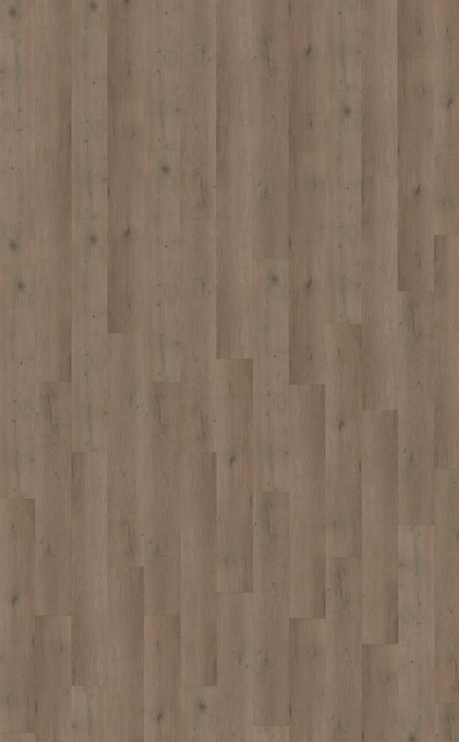 Attico 840 | Rigid Click